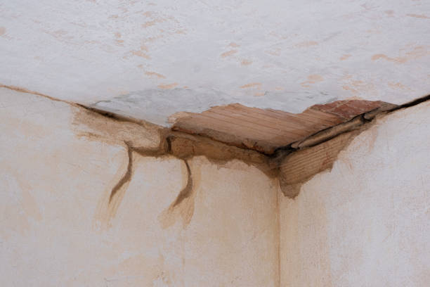 Best Commercial water damage restoration  in Barnesville, OH