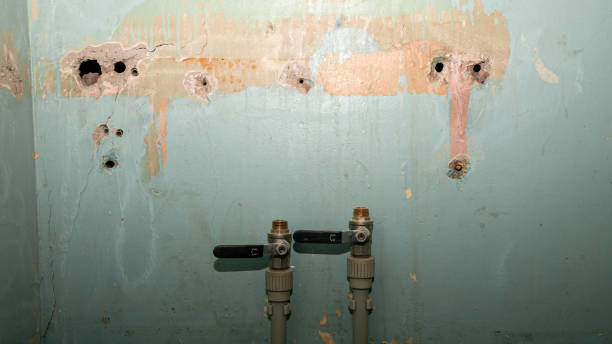 Best Flood restoration services  in Barnesville, OH