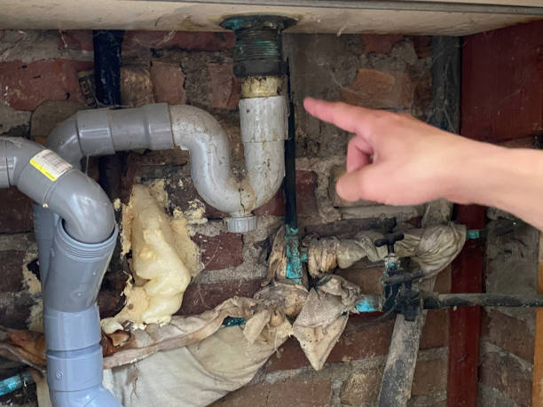 Best Professional water damage repair  in Barnesville, OH